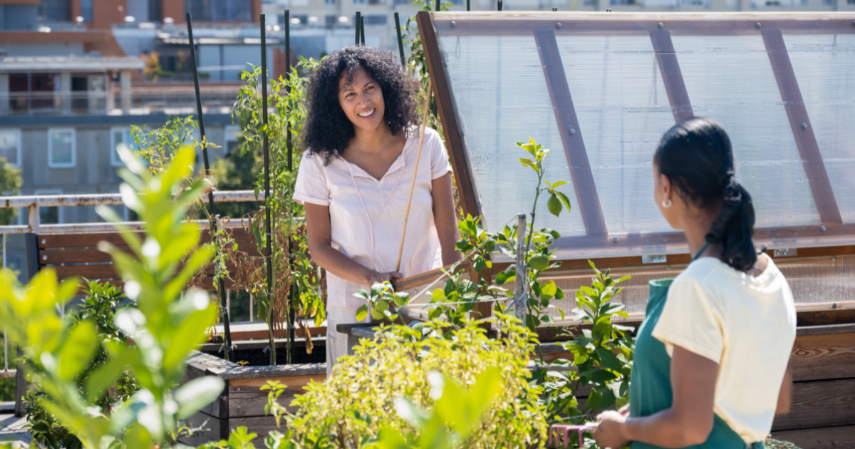 Urban Gardening and Food Sustainability post image