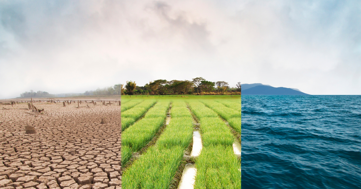 Understanding the Emotional Impact and How to Cope Sustainably post image