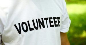 Learn for Impact: A Comprehensive Guide to UNITAR, Inspira, UN Volunteers, and Essential Humanitarian Platforms post image