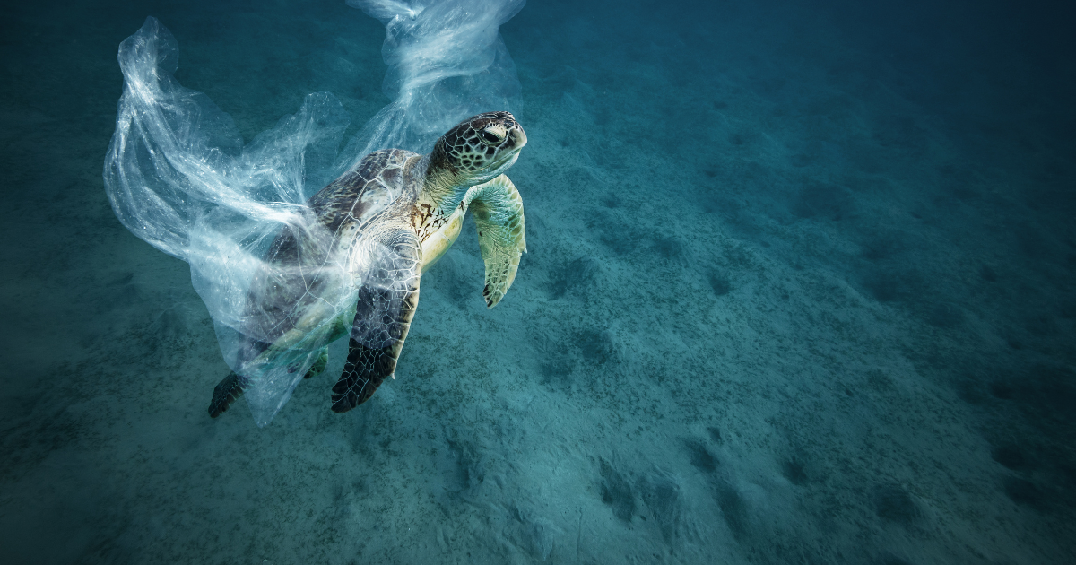 The Plastic Problem