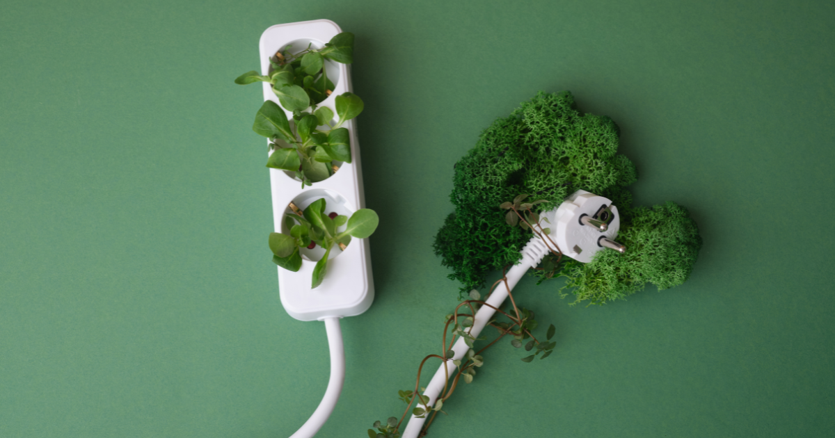 Balancing Innovation and Environmental Impact